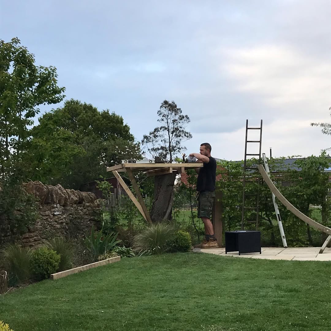 Timber platform being built around the trunk on site