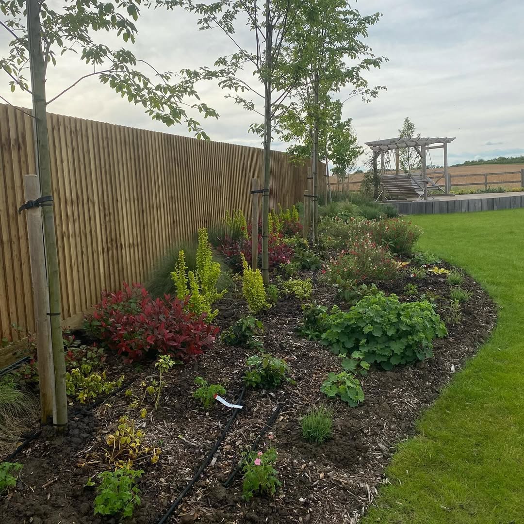 Mature planting with Photinia, Berberis and Alchemilla in full flush