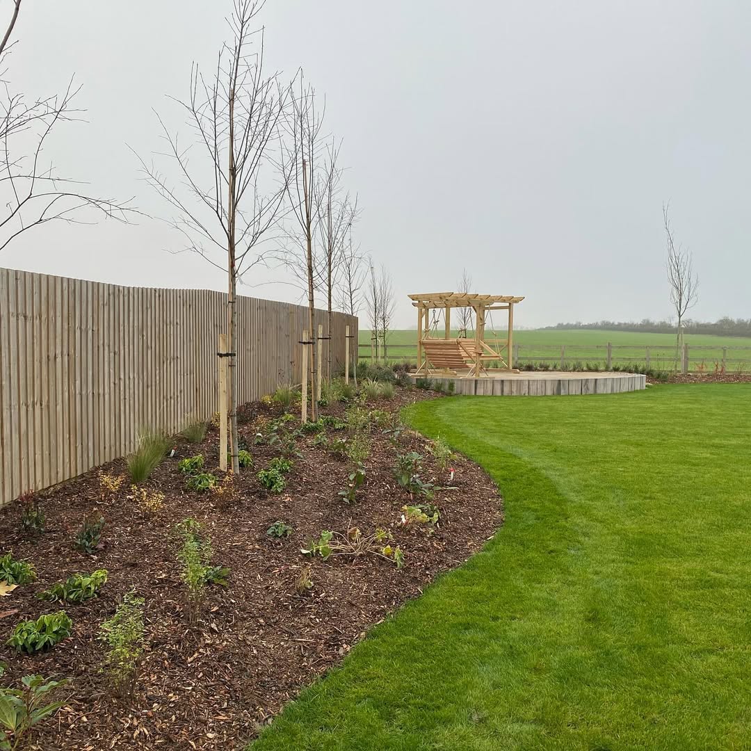 Freshly planted curved border with staked multi-stem trees