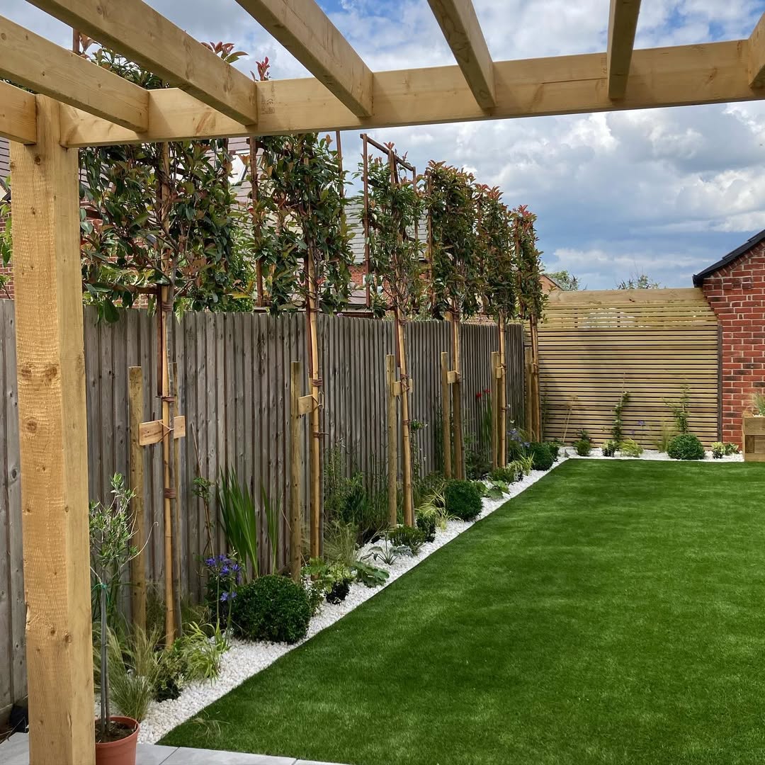 Cedar pergola with pleached trees and planted border