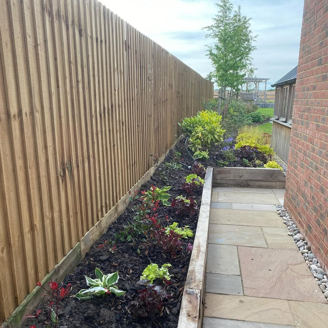 Sleeper-edged side border with sandstone path and young planting
