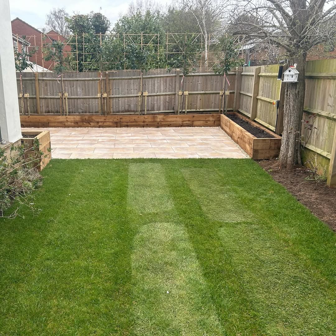 Fresh-laid turf running up to the new patio and pleached rear screening
